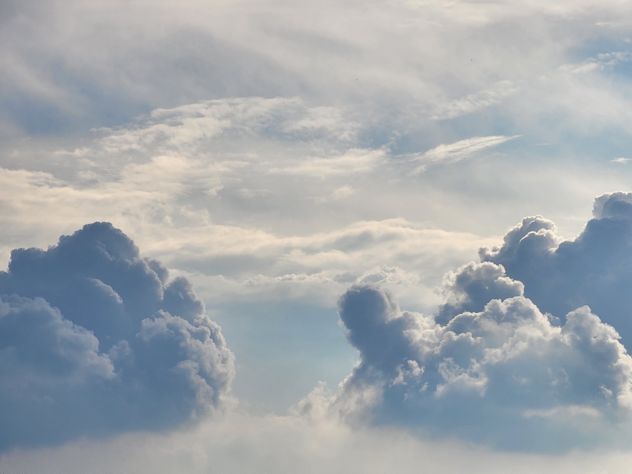 Cover of After the Storm