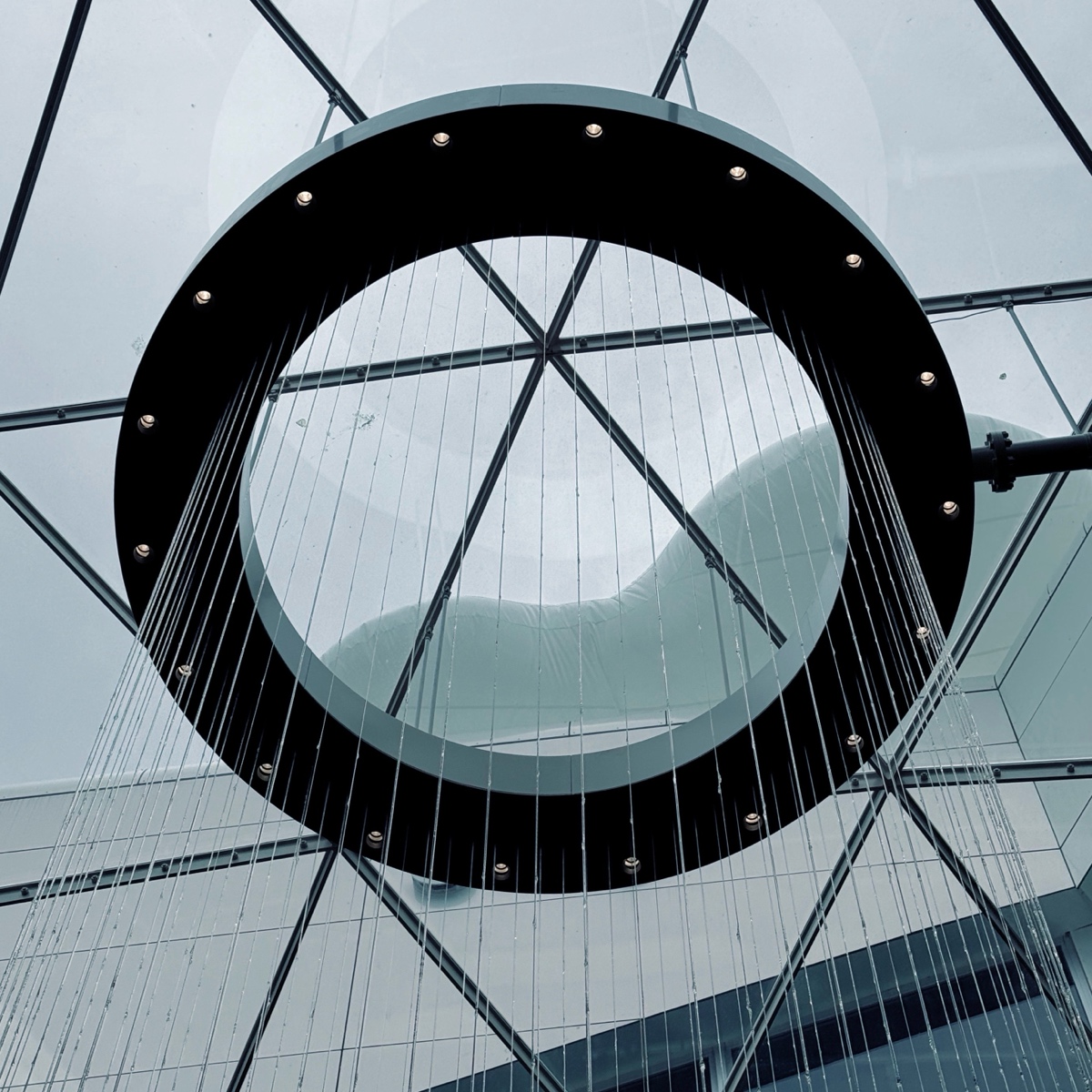 Cover of Bamboo shoots